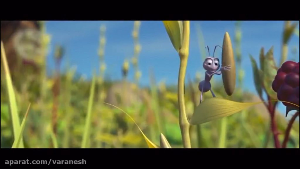 رهبری در دنیای مورچه ها